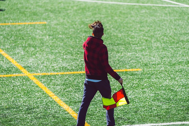 詹姆斯和安 詹姆斯和安